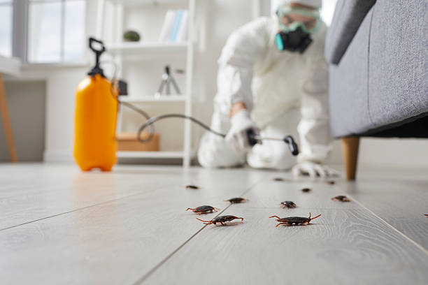Trusted Cockroach Control service in Gonzales, LA - Nex Pest Control